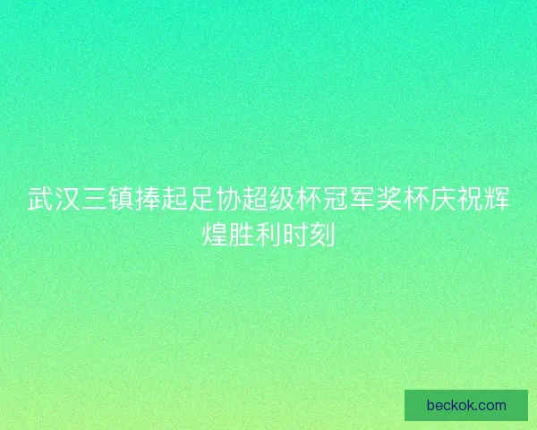 武汉三镇捧起足协超级杯冠军奖杯庆祝辉煌胜利时刻 武汉三镇捧起足协超级杯冠军奖杯庆祝辉煌胜利时刻