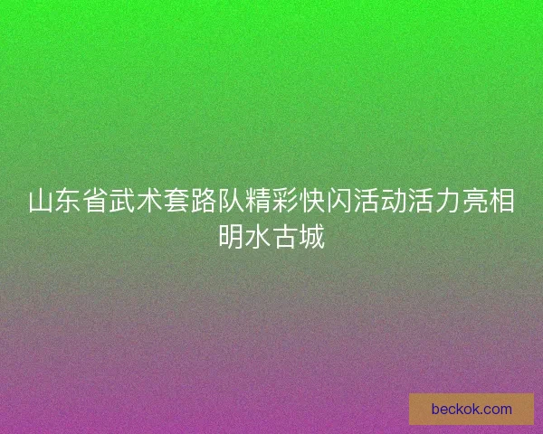 山东省武术套路队精彩快闪活动活力亮相明水古城 山东省武术套路队精彩快闪活动活力亮相明水古城